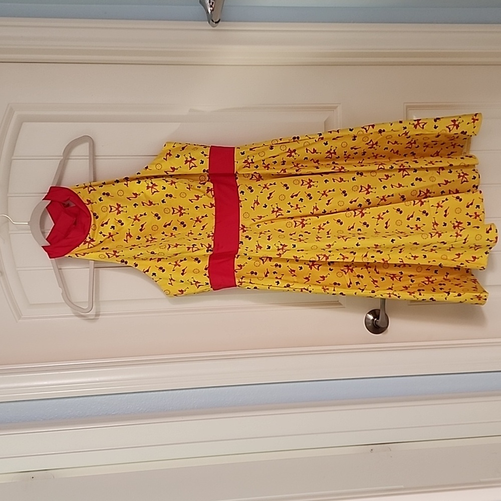 🦩🦩 Disney dress